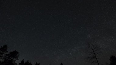 Yıldızların zaman akışı gece gökyüzündeki ağaçların siluetlerinin üzerinde hareket eder.