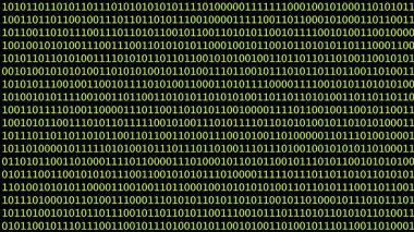 Bu dijital arkaplan ikili kodların karmaşık bir düzenini gösterir. Yeşil karakterler, teknoloji ve veri temalarını öne sürerek, siyah arkaplanla keskin bir tezat oluşturuyorlar..