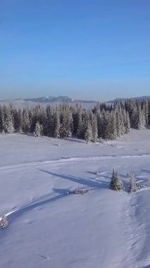 Hava manzarası taze karla kaplanmış nefes kesici bir kış manzarası sergiliyor. Uzak dağlar berrak mavi bir gökyüzünün altında ortaya çıkarken çam ağaçları zemin boyunca uzanıyor. Dikey görüntüler