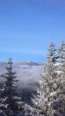 Hava perspektifi, karla kaplı ağaçların bir dağ zeminine ve dingin bulutlara karşı olduğunu ortaya koyuyor. Dikey görüntüler