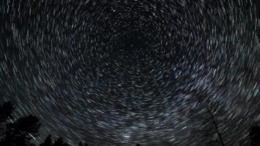Gece gökyüzünde yıldız izleri, Kuzey Yıldızı 'nın etrafında dönen yıldızların uzun pozlu fotoğrafları, ön planda ağaçların siluetleri.