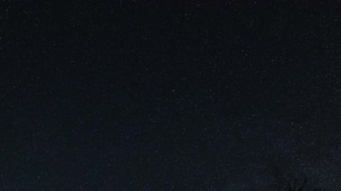 Yıldızlı gece gökyüzünün zaman atlaması, gece gökyüzünün sayısız yıldızla dolu olması, sağ alt köşede zar zor görünen bir ağacın silüeti.