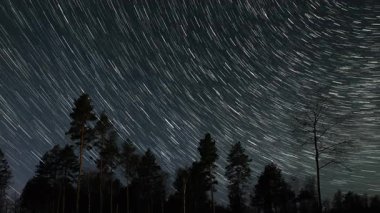 Gece gökyüzünde yıldız izlerinin hızlandırılması, Kuzey Yıldızı 'nın etrafında dönen yıldız izlerinin uzun pozlu fotoğrafı, ön planda ağaç siluetleri.
