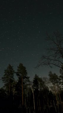Gece gökyüzündeki bir ormanın üzerinde hareket eden yıldızların zamanaşımı. Yıldızlı gece geçmişi. Destansı video, dikey görüntü