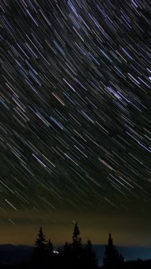 Karanlık orman silueti üzerinde yıldız izleri, uzun pozlama ile çekilen renkli yıldız çizgileri, gece gökyüzünün büyüleyici bir görüntüsü, dikey görüntüler