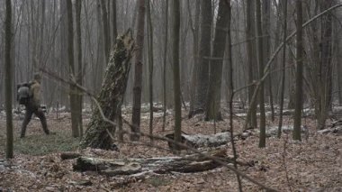 Uzun ağaçlar ve dağınık kütüklerle dolu yoğun, sisli bir ormanda sakince yürüyen bir adam. Ormanın zemininde düşen yapraklar ve dallar var..
