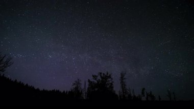 Karanlık bir orman manzarasının üzerinde yıldızlı gece gökyüzü, yıldızlı gökyüzünde uçan birçok yapay uydu..