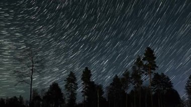 Gece Ormanı 'ndaki Yıldız Yolları' nın zaman atlaması, gece gökyüzünde bir orman siluetinin üzerinde dönen yıldız izlerinin uzun pozlama görüntüleri..