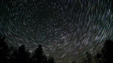 Yıldızların zaman atlaması karanlık bir ağaç siluetinin üzerinde gece gökyüzünde dairesel izler oluşturur, gözden uzak bir ormanda gece vakti astrofotoğrafçılığın güzelliğini gözler önüne serer..