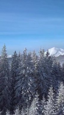 Görkemli hava manzarası karla kaplı dağların sakin güzelliğini yakalar açık bir günde yükselen yemyeşil ağaçlarla çevrili. Sakin bir kış manzarası keşfedilmeyi bekliyor. Dikey görüntüler