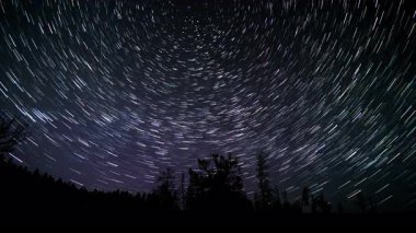 Yıldızların zaman atlaması karanlık bir ağaç siluetinin üzerinde gece gökyüzünde dairesel izler oluşturur, gözden uzak bir ormanda gece vakti astrofotoğrafçılığın güzelliğini gözler önüne serer..