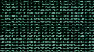 İkili kodların yoğun düzenlenmesi soyut bir dijital arkaplan yaratır. Rakamlar, teknolojiden esinlenilmiş bir tasarımı vurgulayarak koyu bir arkaplan karşısında parlayan yeşil renkte görünür..