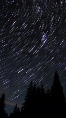 Kuyrukluyıldız şeklindeki yıldızların gece gökyüzünde orman boyunca zaman geçişi. Yıldızlar bir kutup yıldızının etrafında döner, dikey görüntüler