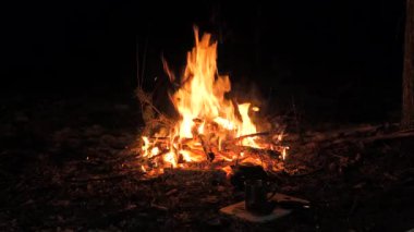 Orman Kampında Büyük Hayatta Kalma Yangını, Bushcraft tarzı hayatta kalma yangını