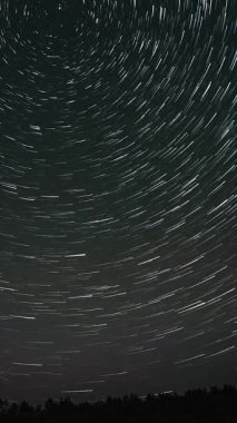 Kuyrukluyıldız şeklindeki yıldızların gece gökyüzünde orman boyunca zaman geçişi. Yıldızlar bir kutup yıldızının etrafında döner. Destansı video, dikey görüntü