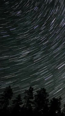 Kuyrukluyıldız şeklindeki yıldızların gece gökyüzünde orman boyunca zaman geçişi. Yıldızlar bir kutup yıldızının etrafında döner, dikey görüntüler