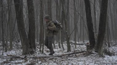 Bir yürüyüşçü sisle kaplı uzun ağaçlarla çevrili karla kaplı bir ormanda yürür. Atmosfer sakin ve soğuk, kışın güzelliğini vurguluyor..