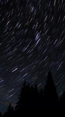 Kuyrukluyıldız şeklindeki yıldızların gece gökyüzünde orman boyunca zaman geçişi. Yıldızlar bir kutup yıldızının etrafında döner, dikey görüntüler