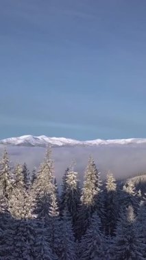 Hava perspektifi, temiz mavi gökyüzünün altında görkemli dağlarla kaplı el değmemiş karla kaplı ağaçların sakin bir kış manzarası yarattığını gösteriyor. Dikey görüntüler