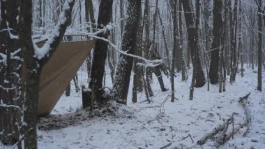 A man gathers firewood in a snowy forest while preparing to build a shelter for warmth and protection from the cold weather.