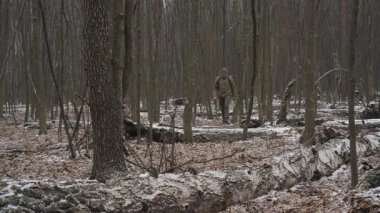 A person walks through a winter forest covered in snow, surrounded by tall trees and fallen logs. The tranquil atmosphere highlights the beauty of nature in cold weather.