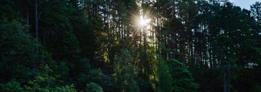 Climbing and lake view on cadair idris hill in wales 2022.