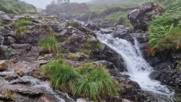 Small Waterfall Cader Idris Peak Wales United Kingdon 2022 — Stock Video