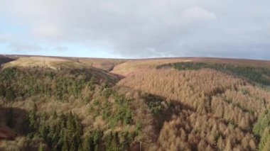 Ladybower Rezervuarı, İngiltere Ulusal Park Tepesi Bölgesi, 2023 Mart.