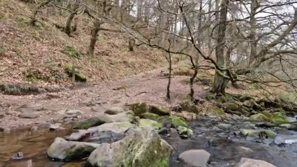 National Park Peak District March 2023 Luds Church — Stock video