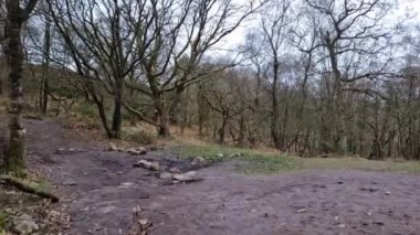 Ulusal Park Tepesi Bölgesi Mart 2023 İngiltere, Luds Kilisesi.