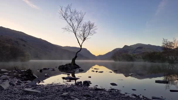 Lone Tree Lake Llyn Padarn Snowdonia National Park Wales Storbritannien — Stockvideo