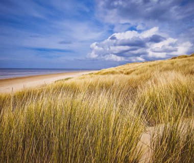 Bulutlu bir günde, sakin ve mistik bir atmosferle kaplanmış Formby Plajı. Gökyüzü yumuşak, dalgalı bulutlarla örtülüdür. Bu bulutlar yeryüzü üzerinde hafif yayılmış bir ışık oluşturur. Kumsal uzanır, altın kumları serin tonla çelişir.