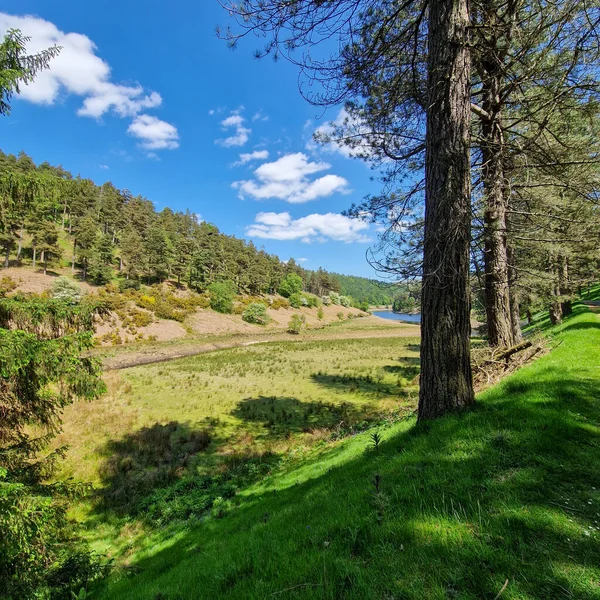 Birleşik Krallık 'ın pitoresk manzaralarının ortasında yer alan Derwent Reservoir doğal güzelliğin sakin bir vahası gibi duruyor. Büyüleyici Derbyshire kırsalında yer alan rezervuar hareketli dünyadan huzurlu bir kaçış sunuyor..