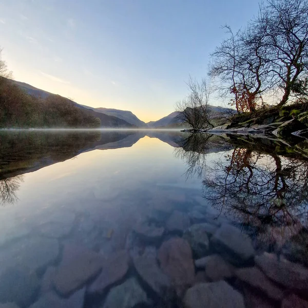 Rozlehlé Malebné Krajině Walesu Stojí Osamělý Strom Symbol Odolnosti Krásy — Stock fotografie