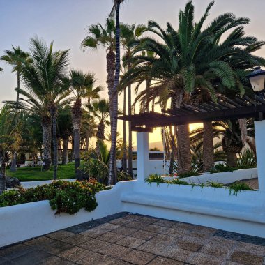 Şafak sökerken, Puerto de la Cruz sabah güneşinin yumuşak kucaklamasına uyanır. Şehir, hala gecenin kalıntılarıyla sarılı, ışığın ilk ışıklarıyla parıldamaya başlıyor. Sokaklar, binalar ve sular S 'nin yumuşak pastel tonlarını yansıtıyor.