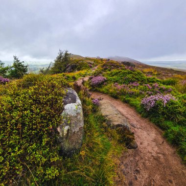 Hamamböcekleri sabah sisinin altında, Peak District 'in göbeğinde bulutlu bir kucaklama
