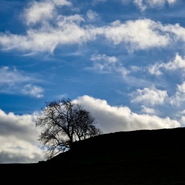 Bu görüntü üçlüsü, Dale Mağarası 'nın Peak District' teki ham ve el değmemiş ihtişamını yakalıyor. Her kare izleyiciyi, doğanın sanatının yemyeşil yamaçlarda sergilendiği bu antik kireçtaşı vadisinde bir yolculuğa davet ediyor.