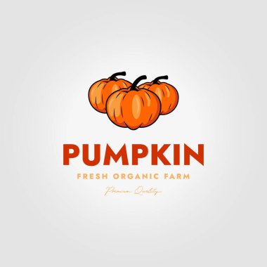 Basit klasik balkabağı logosu vektör tasarımı çizimi