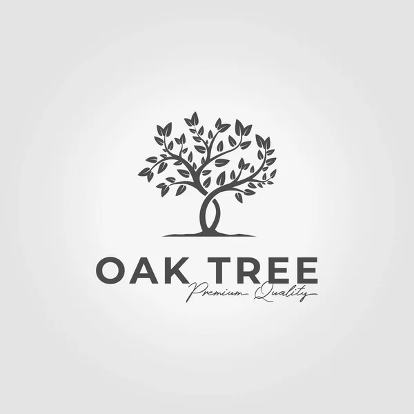 Meşe ağacının minimalist logosu, yazın zeytin ağacı, cennet ve akasya tasarımı.