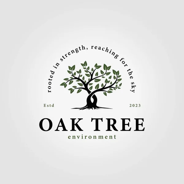 Basit meşe ağacı vektör logosu, yazın akasya ve banyan ağacı simgelerinin çizimi