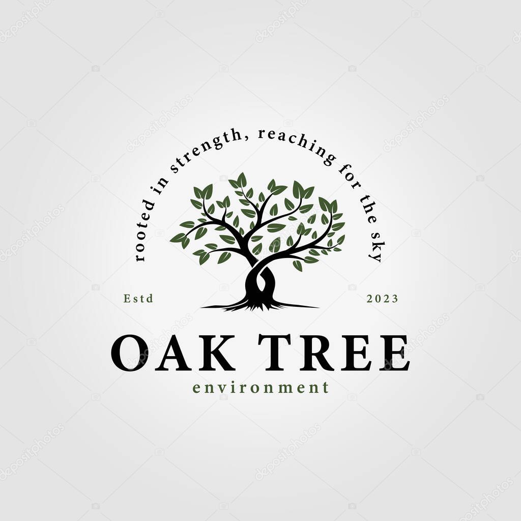 Simple oak tree vector logo, illustration design of acacia and banyan tree icons in summer