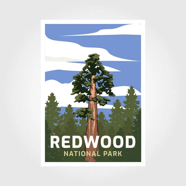 Redwoods Nationalpark Kalifornien Affisch Illustration Design — Stock vektor
