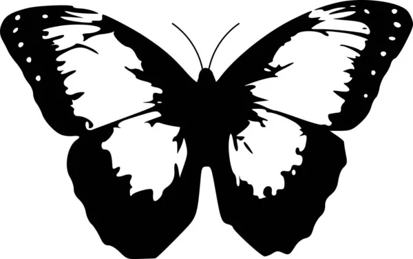 Stock vector Butterfly silhouette. insect. vector graphics