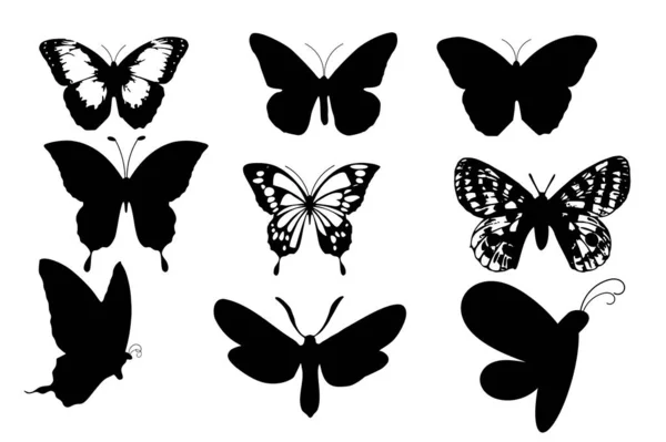 Silueta Motýla Hmyz Vektorová Grafika Stock Ilustrace
