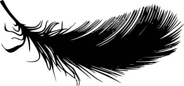 Bir tüyün vektör görüntüsü