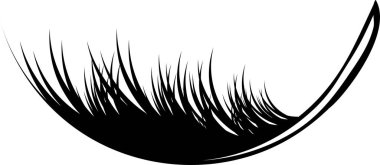 Bir tüyün vektör görüntüsü