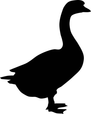 Bir kaz silueti. Hayvan. Vektör grafikleri