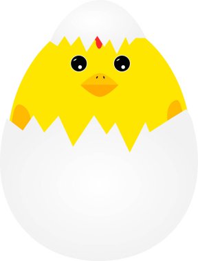  Yumurtadan çıkan bir civciv tasviri