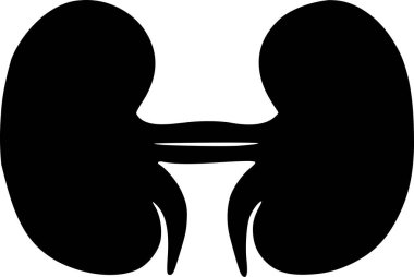 İnsan böbrekleri. simge vektör grafikleri