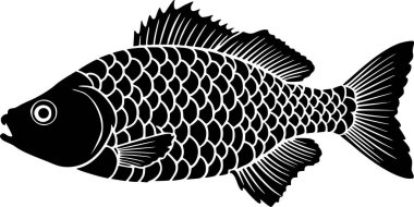 Sazan balığının silueti. Hayvan herif. Vektör grafikleri